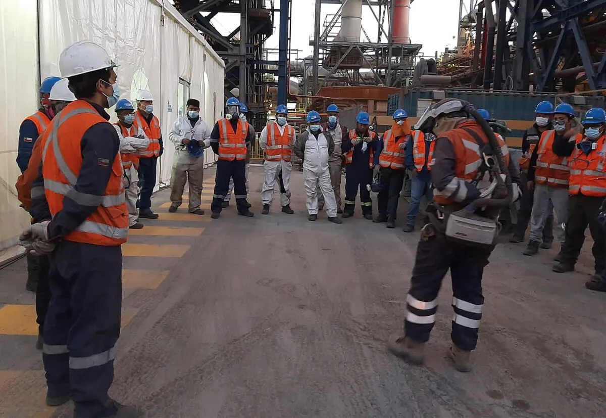 Inspección y asistencia técnica